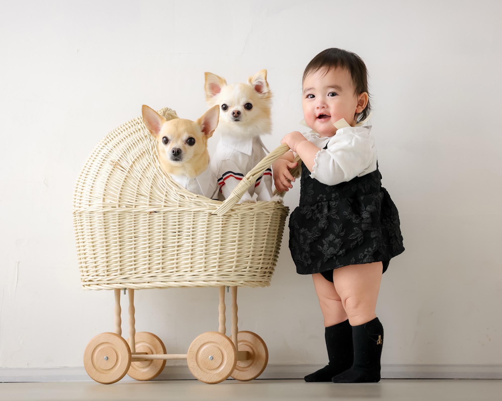 籐の乳母車に乗った2匹のチワワと、手を添えて立つ赤ちゃん|受賞作品「Friendly Days」